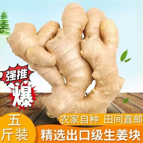 山东大姜风干姜食用姜无土干姜生姜农家自种晒干新鲜正宗大块厨房