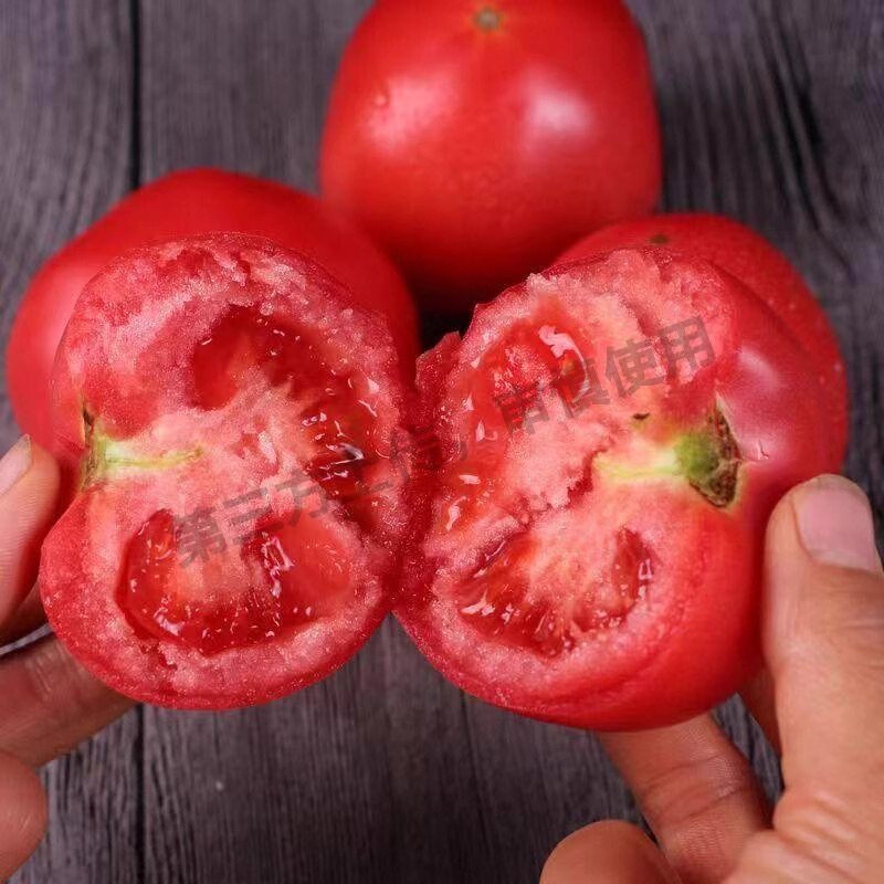 西红柿新鲜自然熟老味道沙瓤番茄可生吃水果孕妇当季农家蔬菜现摘