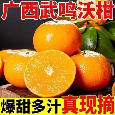 广西武鸣沃柑新鲜采摘皮薄多汁甜橘子水果沃柑孕妇小孩爱吃过年货