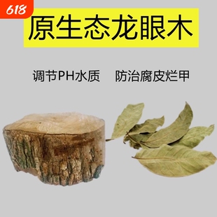 乌龟天然龙眼木晒台龟缸造景沉木摆件防腐皮腐甲龙眼叶养龟休息台