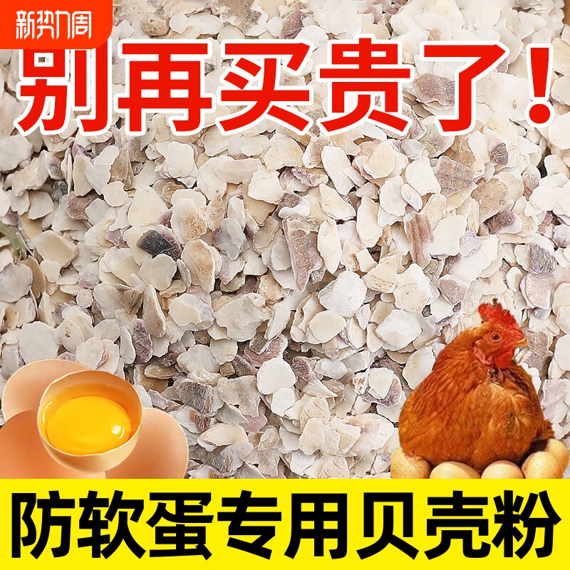 贝壳粉鸡用饲料鸡鸭鹅鸽子补钙防啄蛋防产蛋喂鸡牡蛎粉保健砂高钙