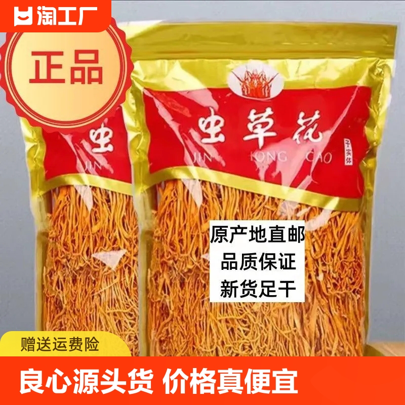 新鲜虫草花干货正品商用净重金蛹虫草菇炖汤煲汤火锅食用菜类实体 传统滋补营养品 蛹虫草 原图主图