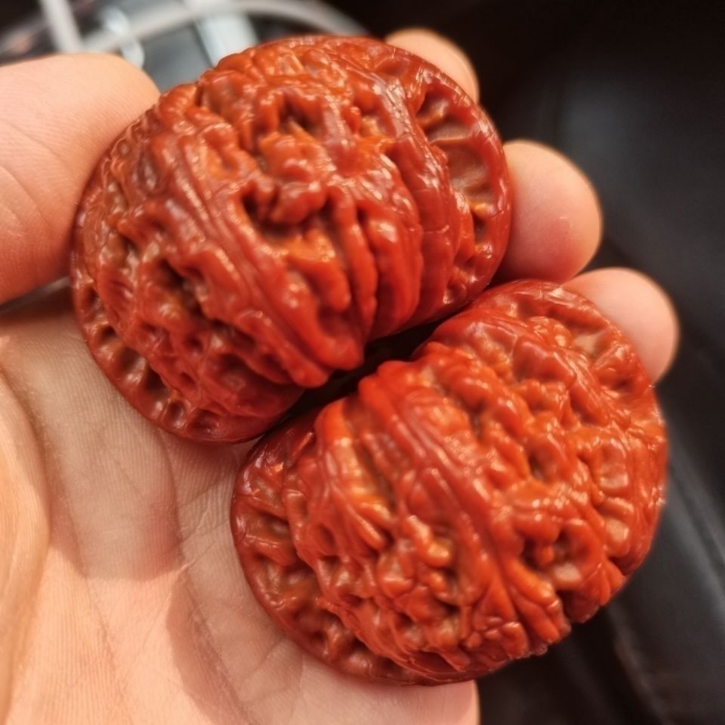 机刷包浆玉化文玩核桃四座楼白狮子麒麟纹官帽天然元宝云铁蛤蟆头