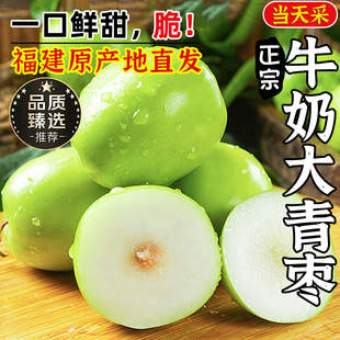 福建牛奶大青枣新鲜现摘当季贵妃奶蜜枣甜脆孕妇水果冬枣
