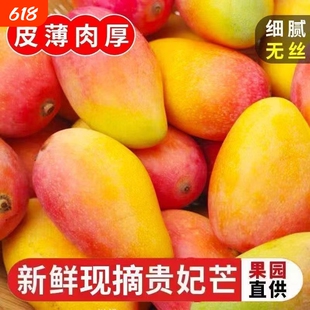 广西贵妃芒9斤芒果香甜当季新鲜水果到手熟整箱包邮红金龙甜心芒