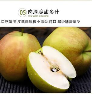 【黄陵特产季节限定】翡翠梨新鲜水果脆甜梨子产地直发京东包邮