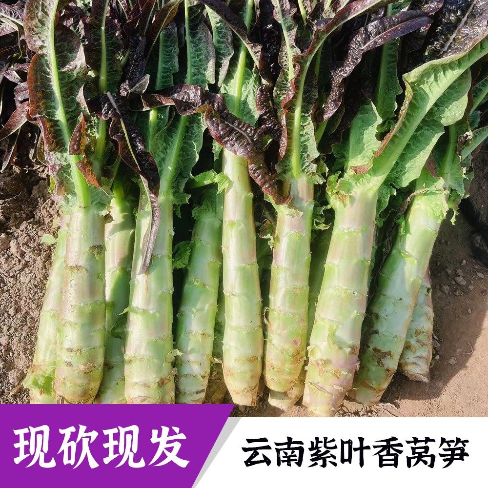云南新鲜紫叶莴笋杆去皮莴笋段蔬菜莴苣农家自种当季时令蔬菜9斤