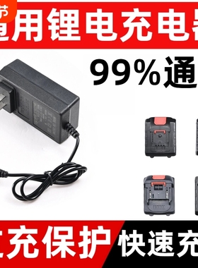洗车枪电池充电器锂电池通用充电钻手电钻扳手12V16.8VF21V36V48V