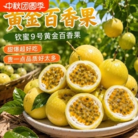 净重2.5斤！黄金百香果钦蜜9号单果45~60g