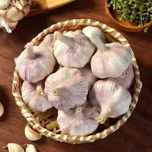 金乡大蒜紫皮大蒜特大果5CM以上大蒜头新干蒜农家多瓣干蒜新蒜