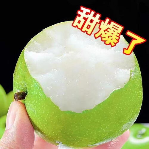 正宗砀山梨青梨酥梨当季水果梨子新鲜现摘安徽皇翠冠整箱香梨雪梨