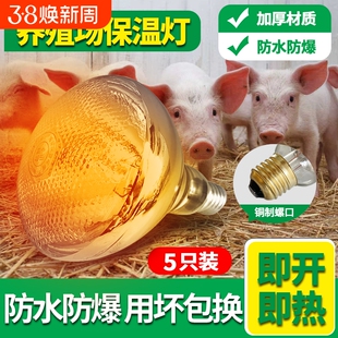 保温灯加热灯泡养殖场专用取暖小鸡育雏烤灯冬季保暖防水防爆家禽