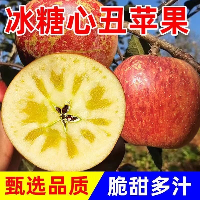 正宗山西运城高原脆甜红富士冰糖心苹果孕妇可食当季新鲜水果整箱,水产肉类/新鲜蔬果/熟食,苹果,淘宝优惠券,粉丝福利购,淘宝优惠卷