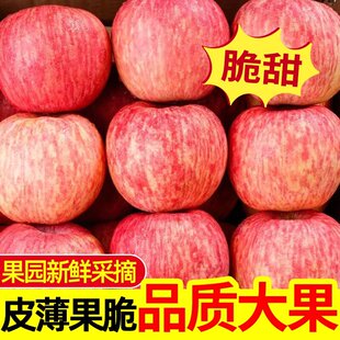 陕西洛川苹果水晶红富士富士水果脆甜冰糖心新鲜水果整箱应季 水果