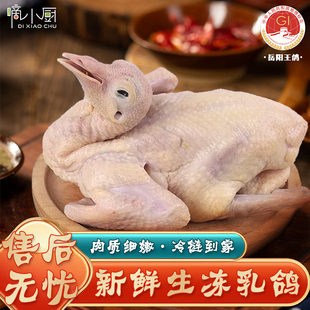 正宗岳阳王鸽农产地理标志农家散养滋补煲汤新鲜乳鸽精选顺丰包邮