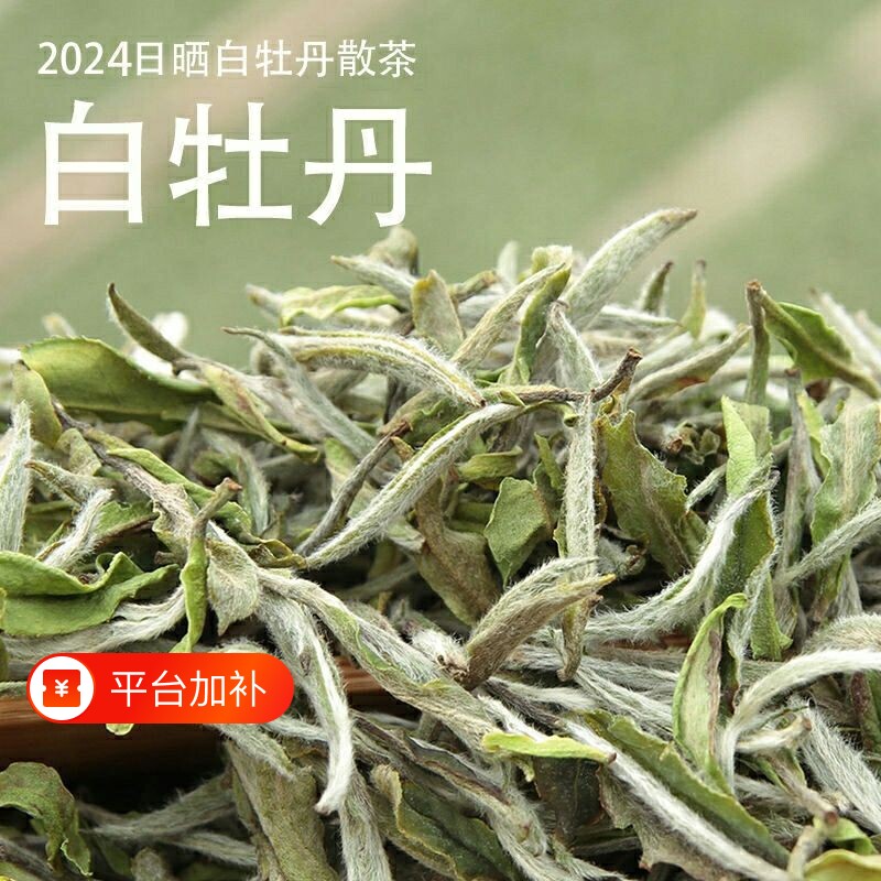 福鼎老白茶2026年白牡丹散装袋装高山茶叶100克500克一级花香手工