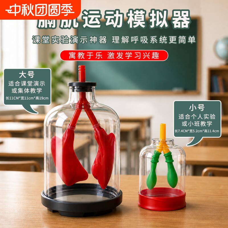 膈肌运动工作原理演示器