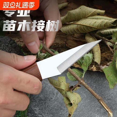专业果树芽接刀|超1000次加购