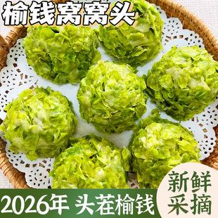 榆钱窝窝头新鲜菜团子当季余钱槐花杂粮馒头手工馍馍粗粮早餐2026