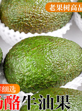 秘鲁进口牛油果新鲜当季水果新鲜果一级鳄梨应季营养丰富孕妇包邮
