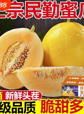 甘肃民勤蜜瓜现摘现发甜瓜新鲜水果陕西金红宝整箱哈密瓜香瓜包邮