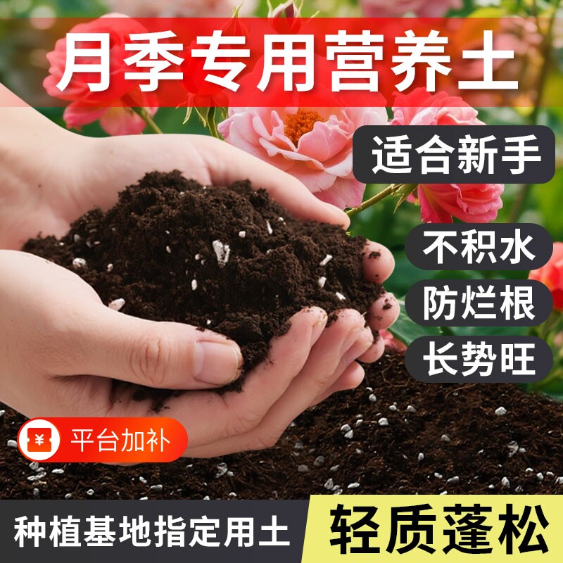 有机月季土蔷薇花土月季花营养土壤月季花肥泥土种植土生态专用土