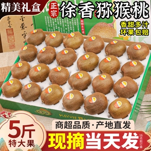 礼盒装 正宗陕西徐香猕猴桃5斤大果新鲜水果当季现摘绿心奇异果香