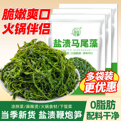 鞭炮笋海笋长寿菜凉拌菜海草藻菜火锅食材鞭盐渍马尾藻羊栖菜新鲜