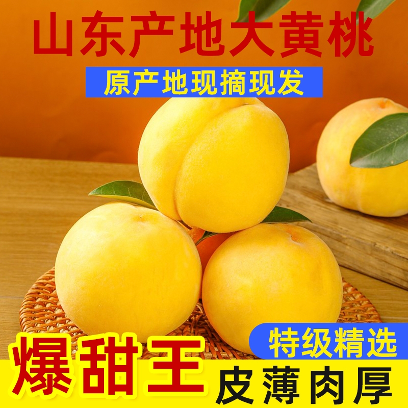 山东黄桃新鲜水果时令应季整箱3斤4.5斤毛桃现摘黄金蜜桃现货速发