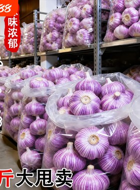 山东金乡紫皮大蒜头干蒜农家蔬菜