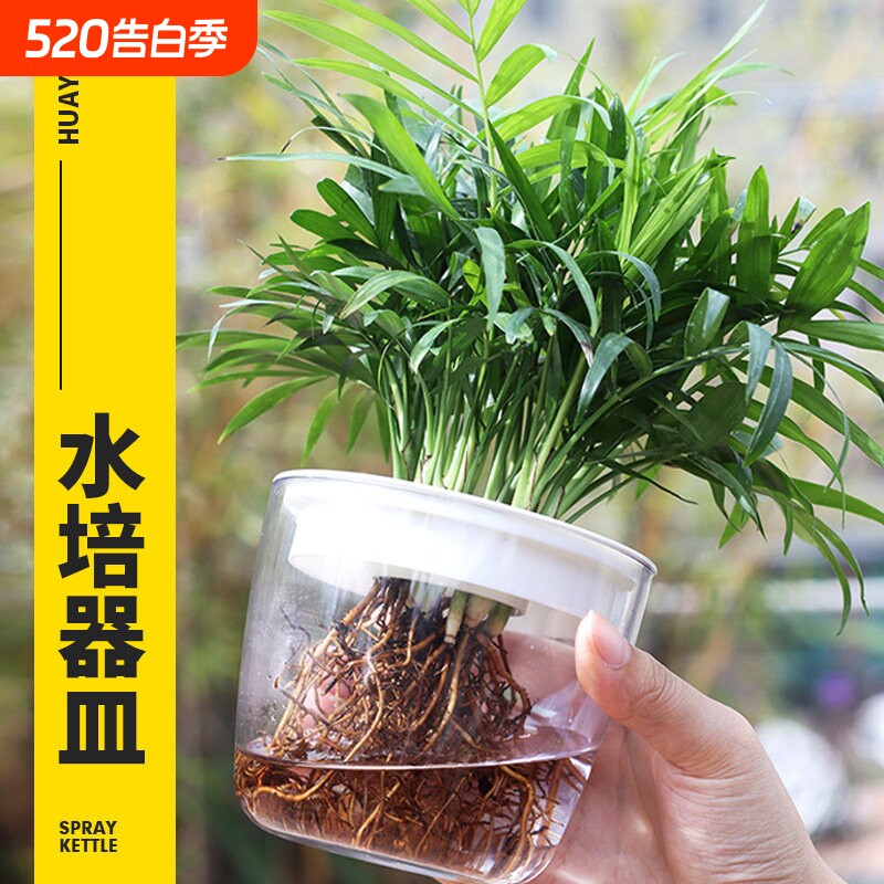 绿萝水培花盆无土种植绿箩器皿塑料透明花瓶室内盆栽水培盆定植篮