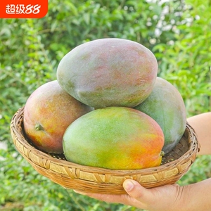 云南现摘现发青皮凯特芒果新鲜水果新鲜香甜多汁当季特大凯特鲜果