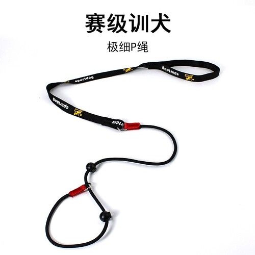 宠物P链P字绳训犬用品狗狗牵引绳