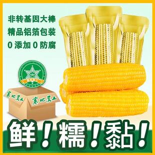 田小草头茬彩箱220x8支甜糯玉米正宗东北头茬玉米黄金糯玉米