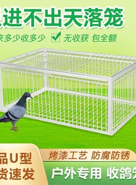 自动捕只进不出天落鸟活络撞门款加密粗防锈自动户外捕捉抓收神器