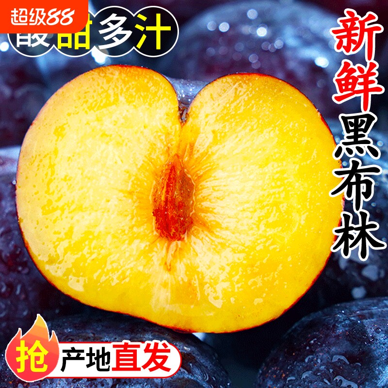 黑布林水果李子正宗新鲜应季现摘酸甜脆李黑宝石黄肉李子整箱包邮