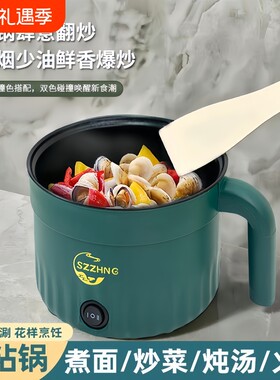 德国宿舍学生多功能小电锅电煮锅一体迷你电炒锅电热火锅泡面煮面