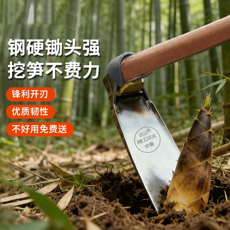 挖笋专用老式锄头农用工具挖笋图片