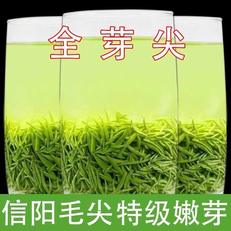 2025新茶信阳特级绿茶毛尖雨前嫩芽春茶纯手工浓香型罐装500g茶叶