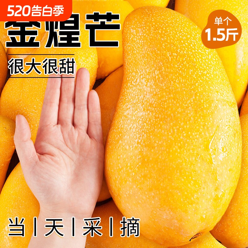 海南金煌芒果新鲜水果当季热带芒果甜心整箱9斤批发水仙芒超大