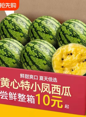 正宗黄心特小凤西瓜水果新鲜麒麟农家现摘冰淇淋西瓜当季整箱甜