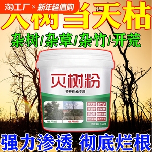 环嗪哃烂根除大树专用药杀大树根药除树一滴死枯树王强力腐树根Y