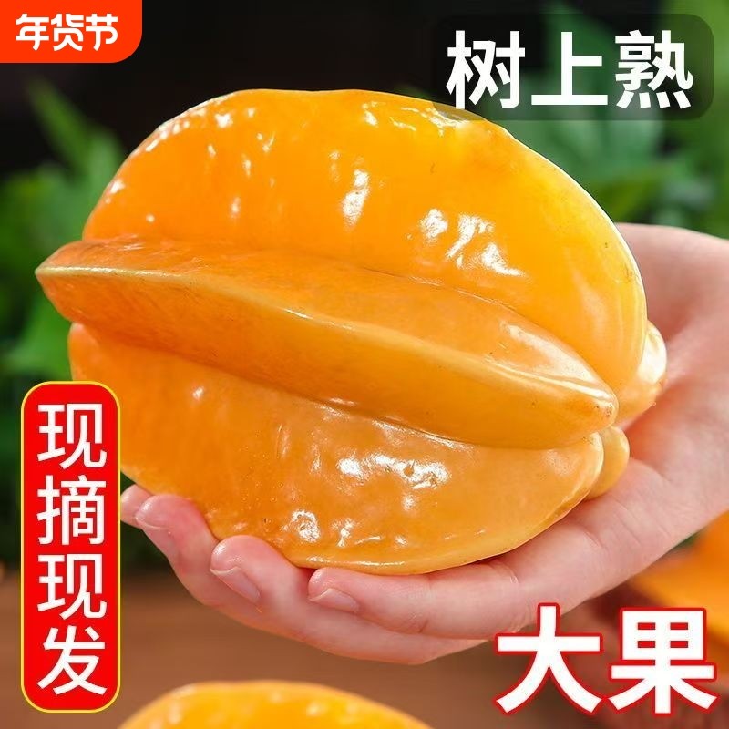 福建漳州杨桃新鲜水果香甜洋桃五角星阳桃当季树上熟,水产肉类/新鲜蔬果/熟食,杨桃,淘宝优惠券,粉丝福利购,淘宝优惠卷