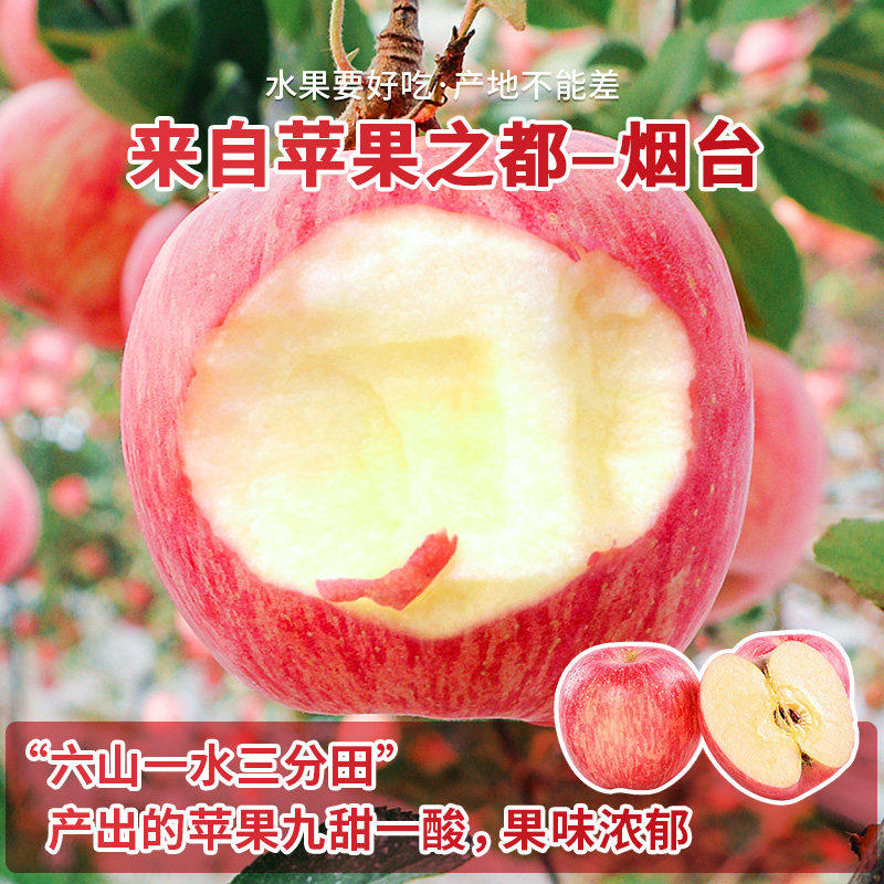B正宗山东烟台红富士苹果新鲜水果脆甜应当季冰糖心整箱现摘送达