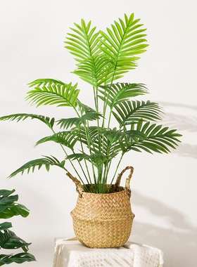 仿真绿植小盆栽龟背散尾葵客厅室内落地摆件装饰假花植物桌面摆设