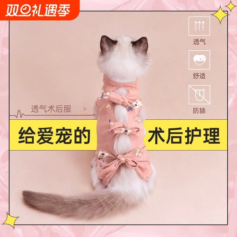 猫咪绝育服母猫手术服衣服透气戒奶服断奶服公猫宠物猫纯棉公主