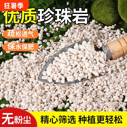 珍珠岩硬质大颗粒膨胀透气养花用营养土多肉育苗兰花专用植料园艺