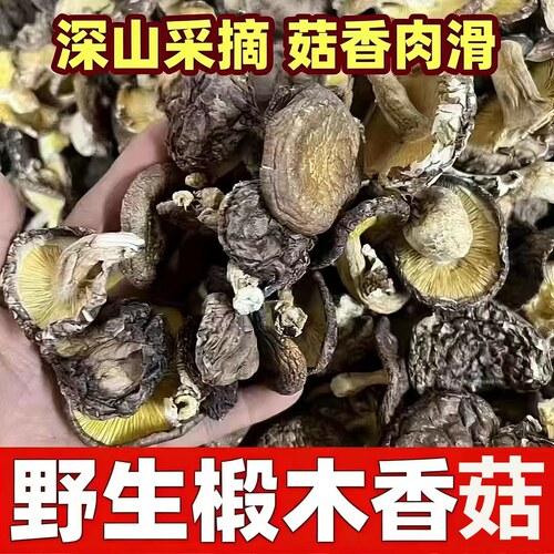 椴木香菇干冬菇干货煲汤商用食材菌菇批发野生木耳花菇袋装健康