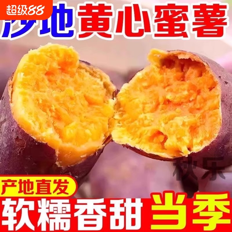 农家自种沙地蜜薯黄红心红薯番薯山芋糖心龙九红薯新鲜烤地瓜