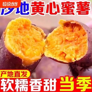 农家自种沙地蜜薯黄红心红薯番薯山芋糖心龙九红薯新鲜烤地瓜